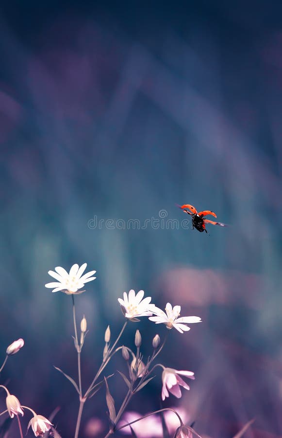 E image stock E image stock