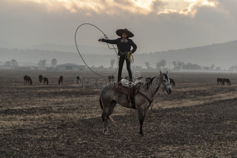 A Young Mexican Charro Cowboy Rounds Up a Herd of Horses Running through the Field on a Mexican