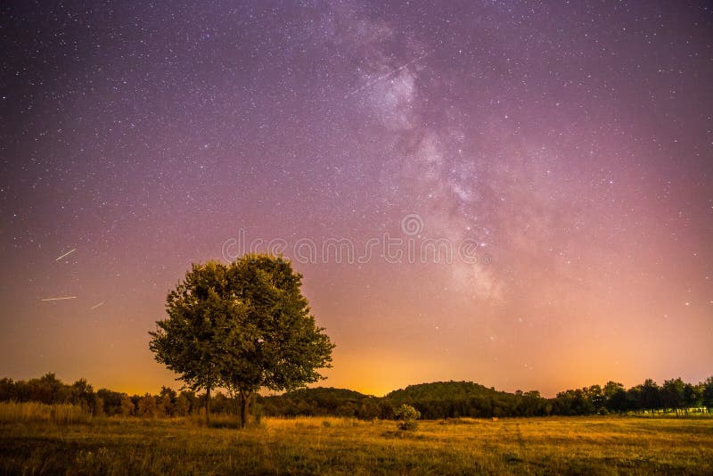 Beautiful night scenery with stars, meadow and a tree, warm purple colors sky astro stardust galaxy science astronomy milky way clear atmosphere cosmos dark universe heaven god humanity light nature outlet planet physics space starlight starry shooting epic inspiring gps astrophotography background black orange stellar summer telescope silhouette nightscape croatia landscape nebula deep. Beautiful night scenery with stars, meadow and a tree, warm purple colors sky astro stardust galaxy science astronomy milky way clear atmosphere cosmos dark universe heaven god humanity light nature outlet planet physics space starlight starry shooting epic inspiring gps astrophotography background black orange stellar summer telescope silhouette nightscape croatia landscape nebula deep