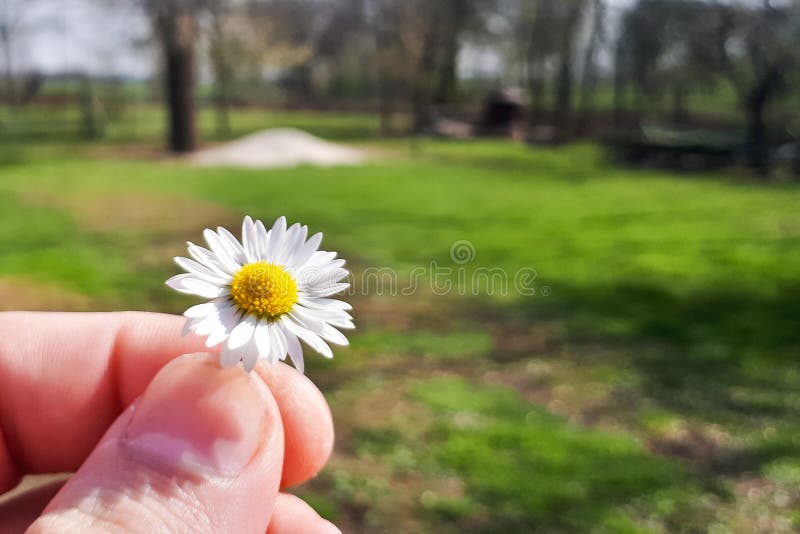 E royaltyfria bilder E royaltyfria bilder