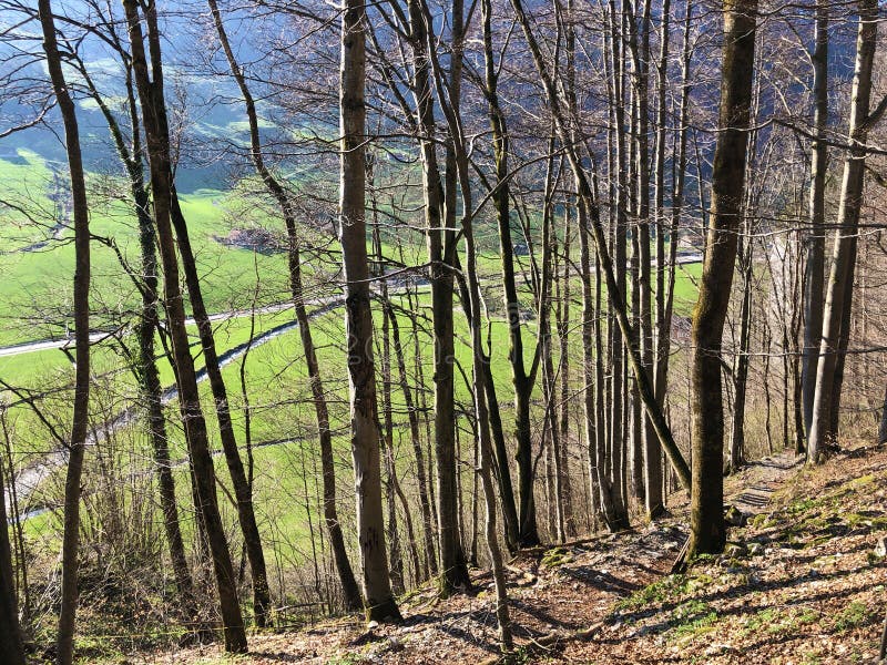 E stock afbeeldingen.