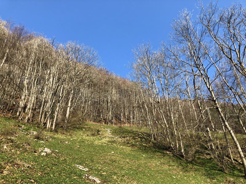 E stock afbeeldingen.