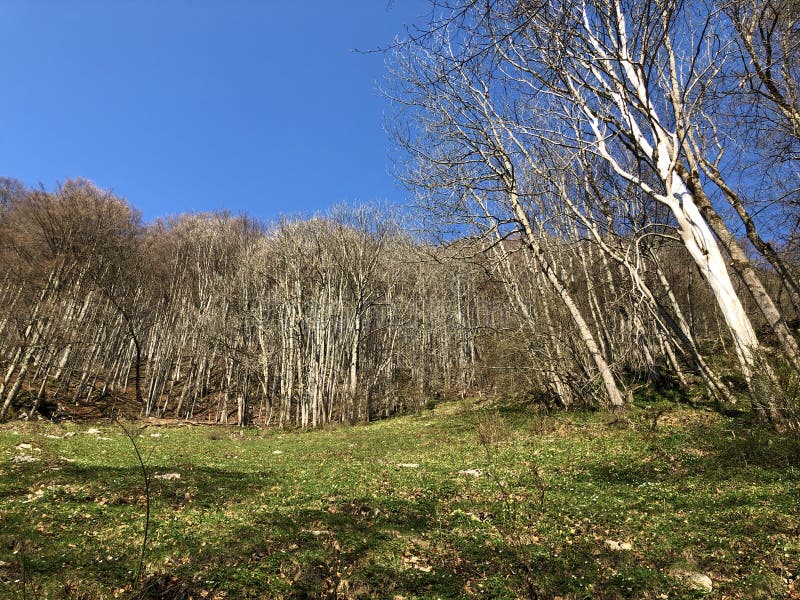 E stock afbeeldingen.