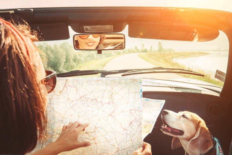 Woman traveling with her lovely beagle dog by convertible car and planning itinerary using the paper map in the bright sunny day. Woman traveling with her lovely beagle dog by convertible car and planning itinerary using the paper map in the bright sunny day