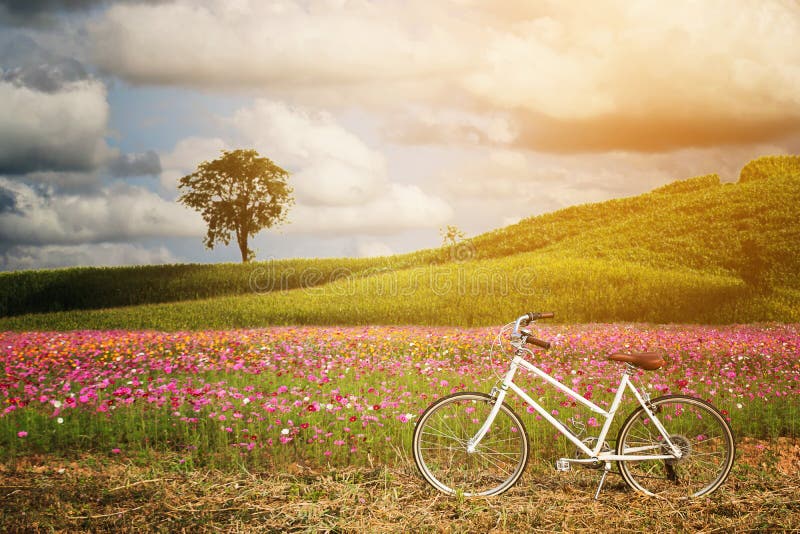 E photo stock E photo stock