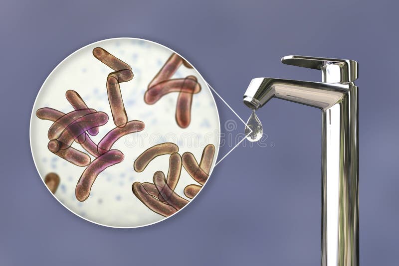 Бактерии в питьевой воде. Покажи бактерии в воде из-под крана. Vibrio cholerae в сточных Водах.