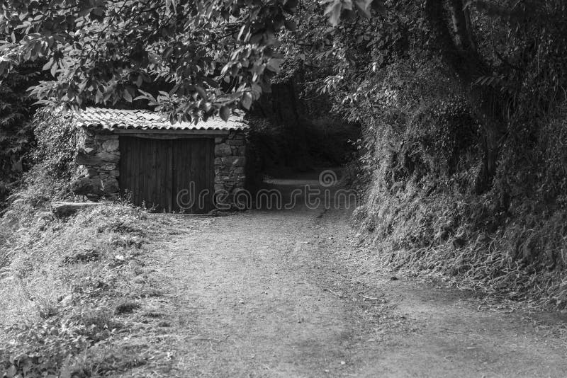 E royaltyfria bilder E royaltyfria bilder