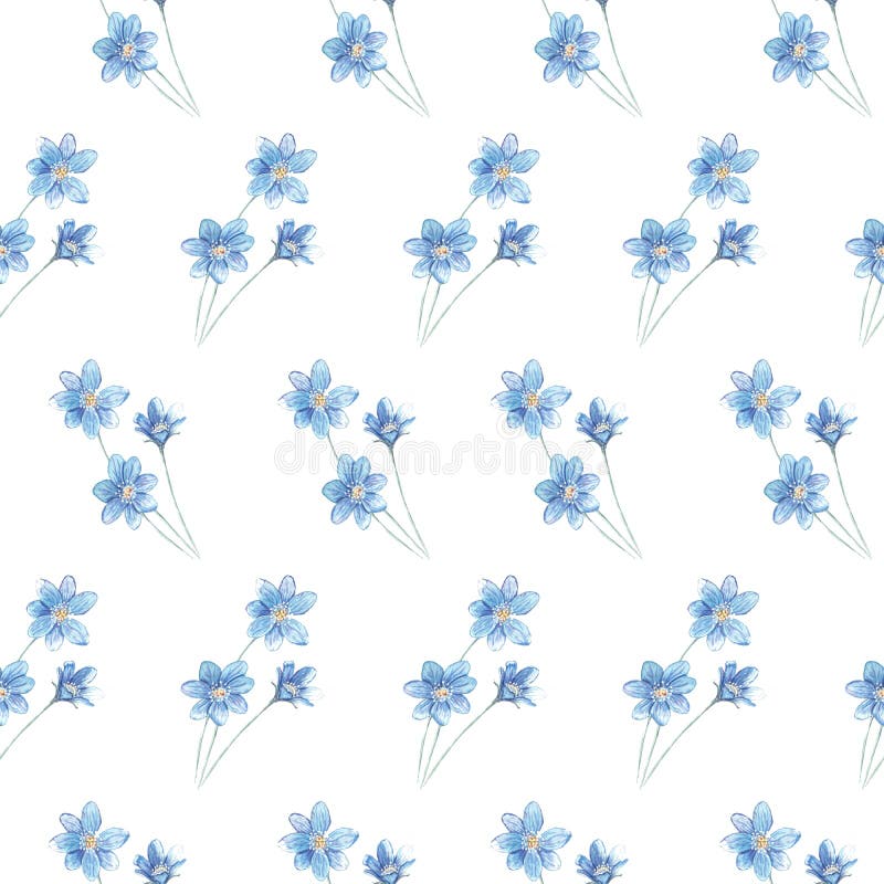 E vektor illustrationer E vektor illustrationer