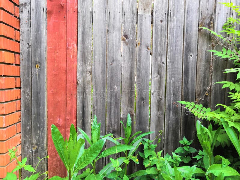 Grauer Blumenstuhl Mit Dem Schwarzen Kissen, Das Auf Dunklem Teppich Im