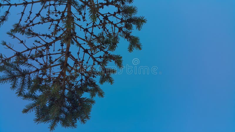  E photographie stock