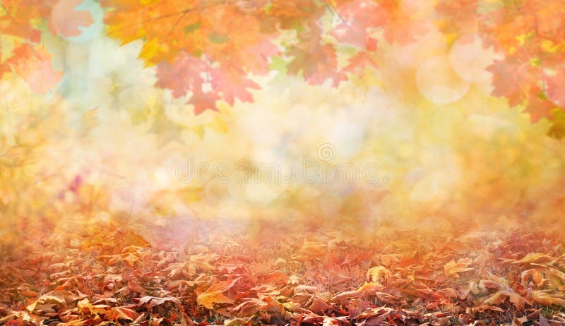 Herfstbladeren in een prachtig herfstpark royalty-vrije stock foto's