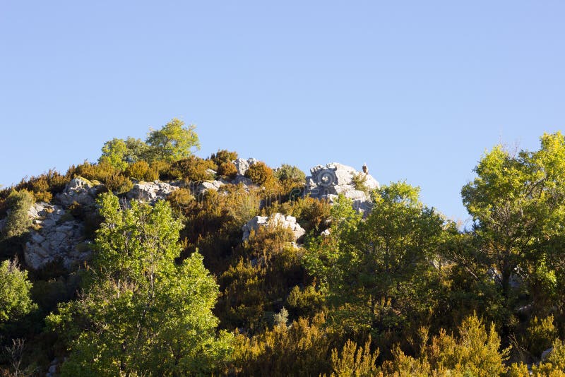 Mountains and landscapes of the Pyrenees of Huesca, Aragon, Spain. High mountain of the Pyrenees of Huesca, landscapes of vegetation and trees at the time of the beginning of autumn and the end of summer, color change in the leaves of the trees.