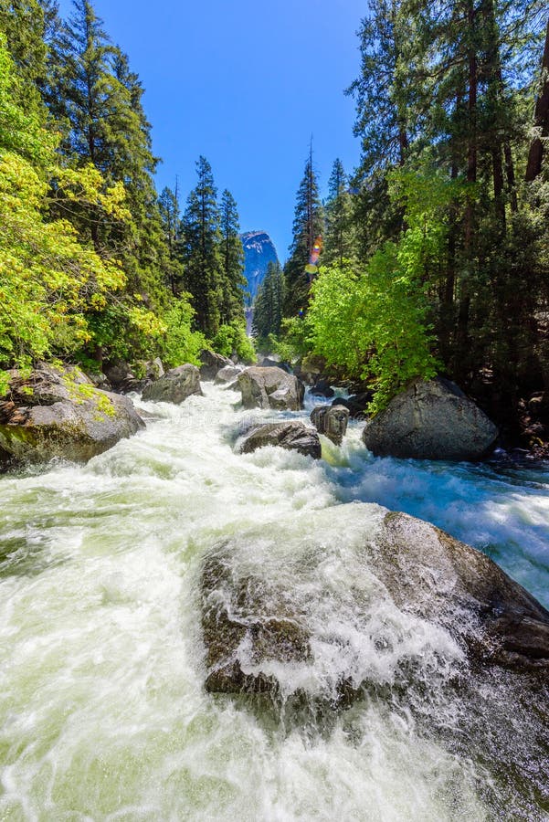 Yosemite National Park Reflection in Merced River of Yosemite