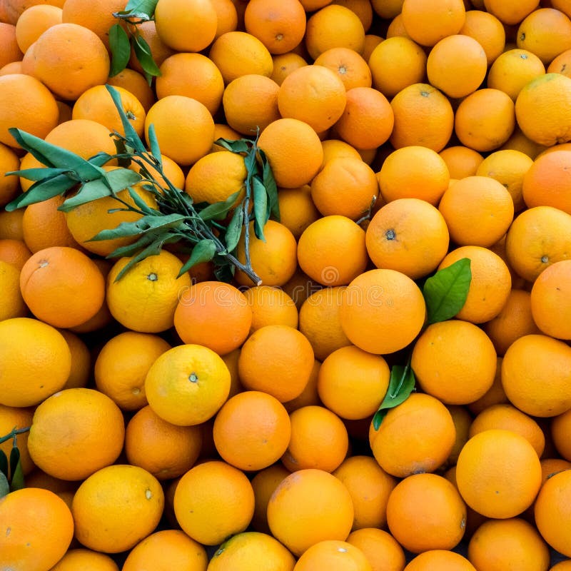 Verse sinaasappelen voor de teelt van juiks op de landbouwmarkt Achtergrond voor oranje close-up Gezonde vegaanvoeding stock fotografie Verse sinaasappelen voor de teelt van juiks op de landbouwmarkt Achtergrond voor oranje close-up Gezonde vegaanvoeding stock fotografie