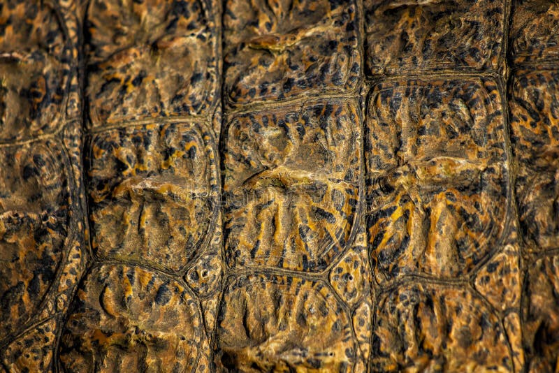 E r Het is natuurlijk royalty-vrije stock afbeelding E r Het is natuurlijk royalty-vrije stock afbeelding