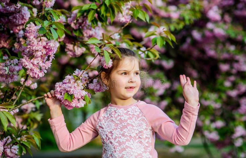 Fantastisk blomsterskönhet Bakgrund för körsbärsbär Glad vårsemester Park och trädgård Flickbarn i arkivfoton Fantastisk blomsterskönhet Bakgrund för körsbärsbär Glad vårsemester Park och trädgård Flickbarn i arkivfoton