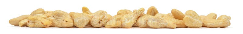 Acajoubaumnahaufnahme lokalisiert auf weißem Hintergrund Panoramanüsse Acajoubaum ohne Oberteil Nuts Makro lizenzfreies stockbild Acajoubaumnahaufnahme lokalisiert auf weißem Hintergrund Panoramanüsse Acajoubaum ohne Oberteil Nuts Makro lizenzfreies stockbild