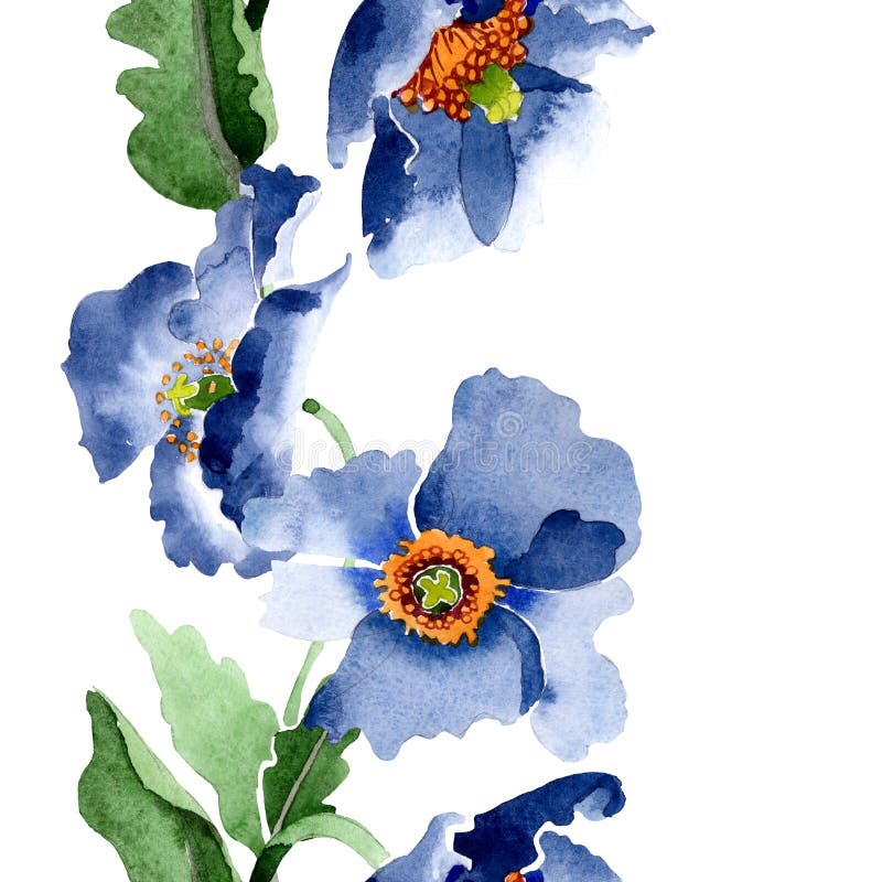 蓝罂粟花植物花水彩背景插图集无缝背景模式库存例证 插画包括有夏天 图画 草甸 方式 植物群 蓝罂粟花植物花水彩背景插图集无缝背景模式库存例证 插画包括有夏天 图画 草甸 方式 植物群