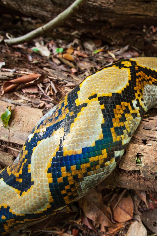 E r stockbilder E r stockbilder