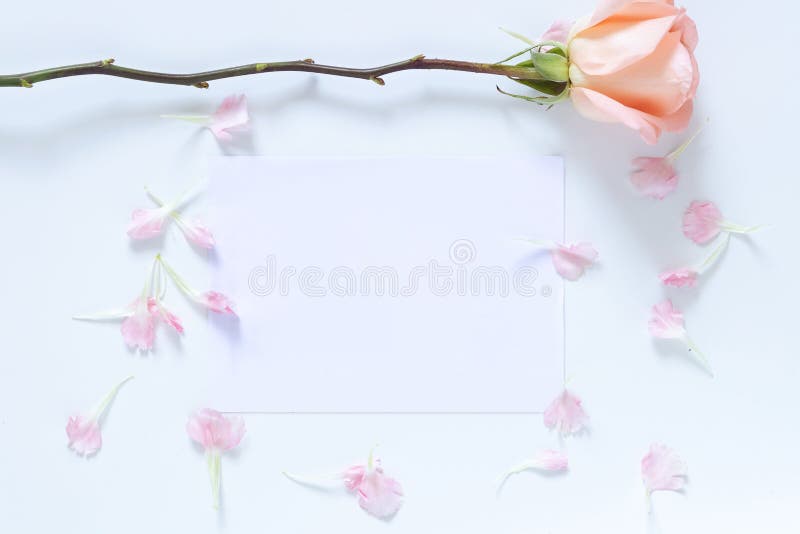 E r lizenzfreies stockbild E r lizenzfreies stockbild