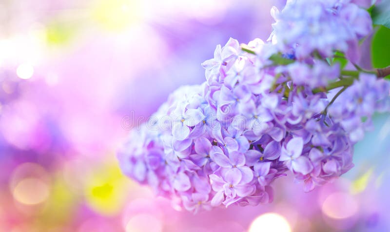 E r image stock