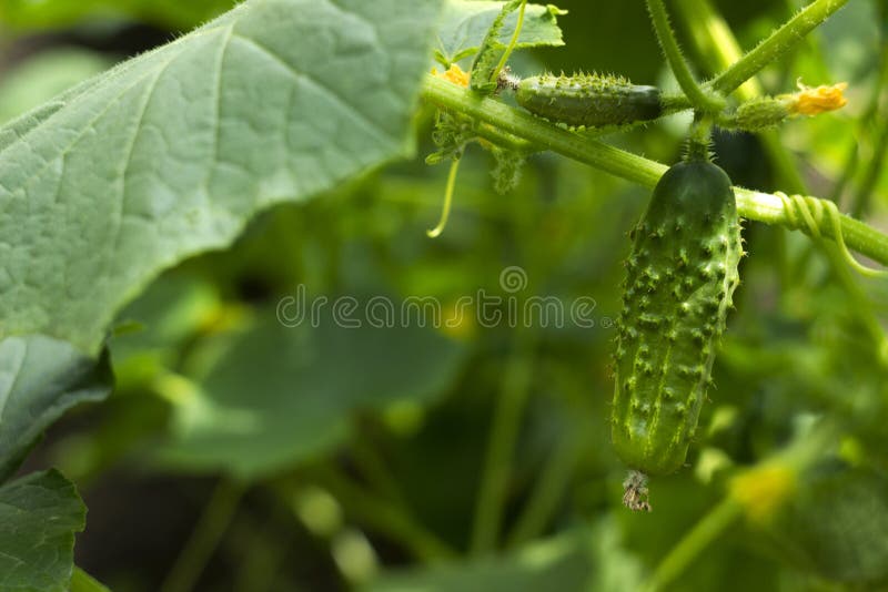 E r r photo stock E r r photo stock