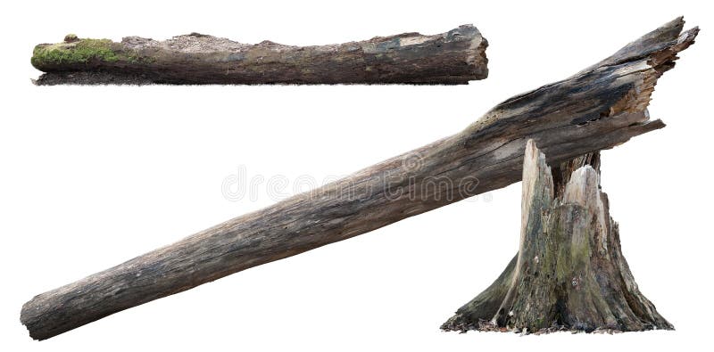 Old tree stub. Dead tree stump isolated on white background. PNG file with transparent background also available. Fallen tree. High quality clipping mask for professional composition. Old tree stub. Dead tree stump isolated on white background. PNG file with transparent background also available. Fallen tree. High quality clipping mask for professional composition.