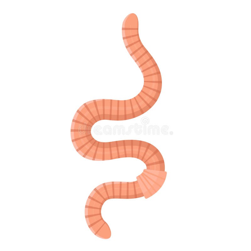 Earthworm pink icon, soil and garden insect. Environment and ecology concept. Vector flat style cartoon illustration isolated on white background