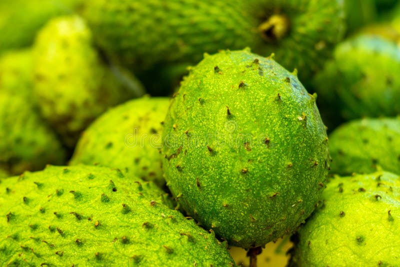 Graviola sur le marché Fruit blanc très doux de pulpe Fruit tropical exotique du Brésil photographie stock Graviola sur le marché Fruit blanc très doux de pulpe Fruit tropical exotique du Brésil photographie stock