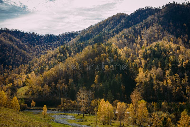 E r royaltyfria bilder E r royaltyfria bilder