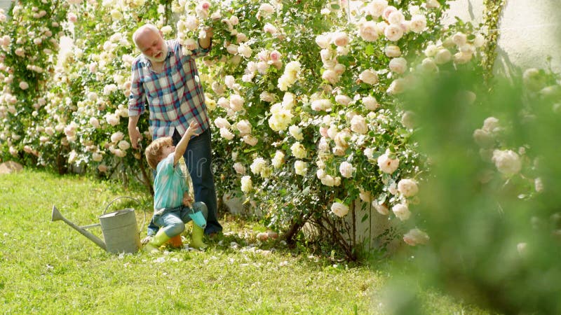 Vater und Sohn Begriff des Rentenalters Blumenpflege und Tränken Porträt von Großvater und Enkel während