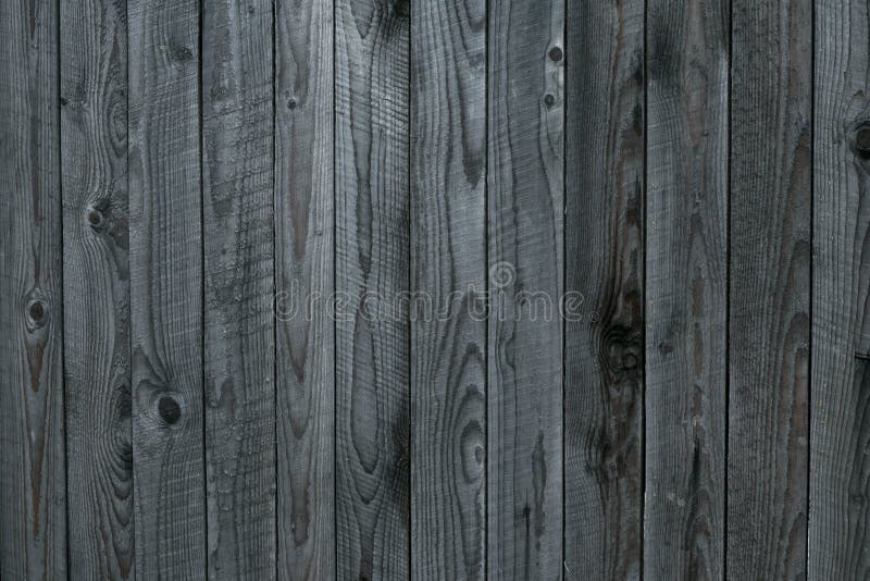 Grunge textur av grått gammalt trästängsel Gråbakgrund för schabby-träskivor, plankar Yta av gammalt schabby Wafered wooden p royaltyfria bilder Grunge textur av grått gammalt trästängsel Gråbakgrund för schabby-träskivor, plankar Yta av gammalt schabby Wafered wooden p royaltyfria bilder