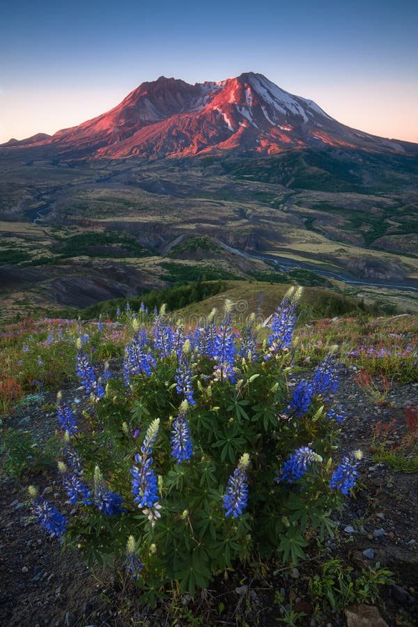 E r Parque nacional de Mount Saint Helens EUA foto de stock E r Parque nacional de Mount Saint Helens EUA foto de stock