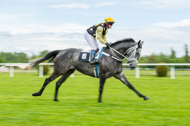 Single jockey on horse racing outdoor derby heading to finish line. Outdoor sport and competition. Single jockey on horse racing outdoor derby heading to finish line. Outdoor sport and competition