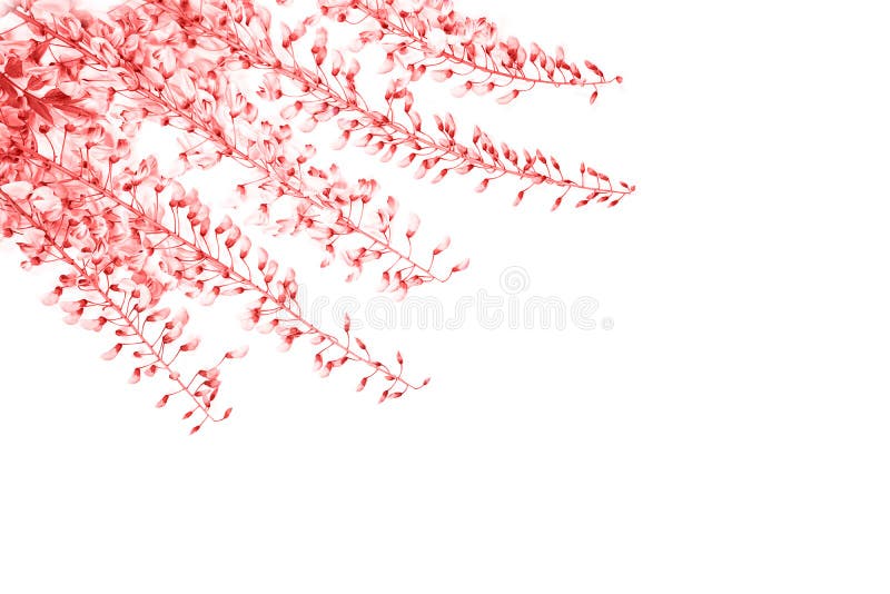 E lizenzfreie stockfotos E lizenzfreie stockfotos