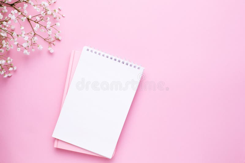 E Scrittorio funzionante della donna immagine stock E Scrittorio funzionante della donna immagine stock