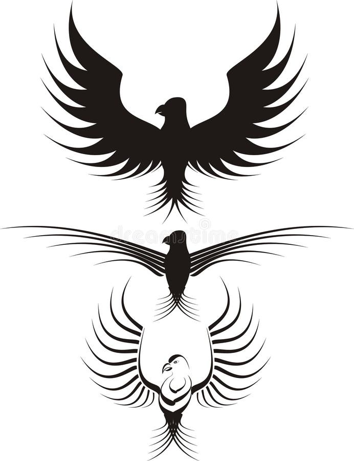Representante volador águila registro o decoraciones.