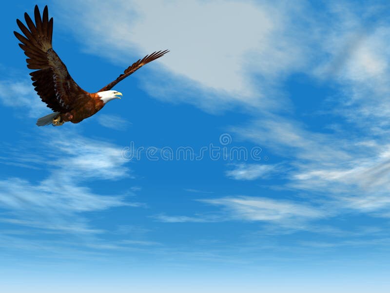 Eagle flying on a background of the dark blue sky