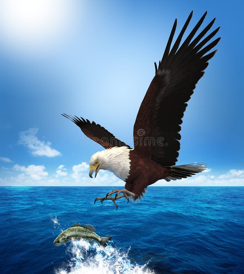 All 26+ Pictures an eagle carries a fish up 50 Sharp All 26+ Pictures an eagle carries a fish up 50 Sharp