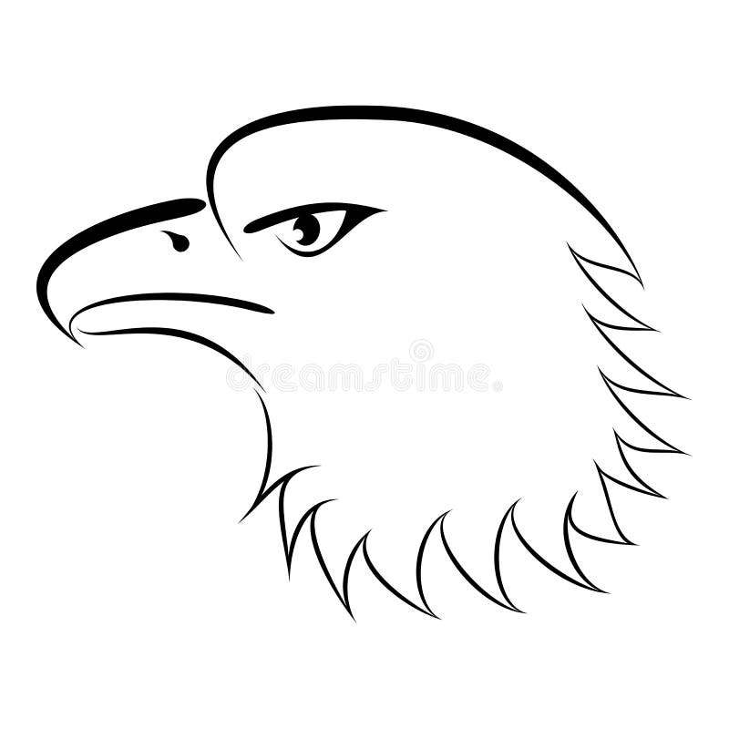 Eagle Calvo De Dibujo Linear Ilustración del Vector - Ilustración de  contorno, lindo: 151589415