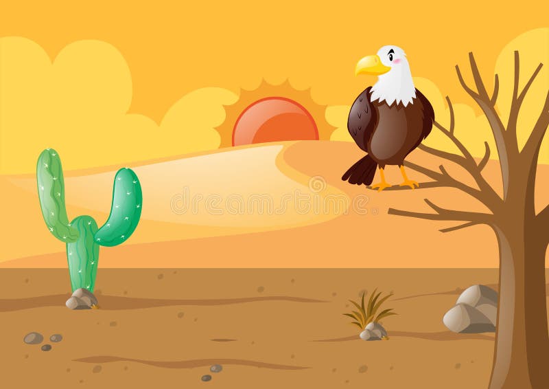 Eagle in the dry desert illustration. Eagle in the dry desert illustration