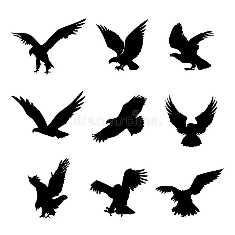 Eagle Falcon Bird Hawk Animal-van het het Ontwerpelement van het Silhouet de Zwarte Pictogram Vlakke Vectorillustratie