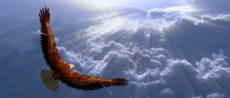 Eagle In Flight Above Tyhe Clouds Stock Illustration - Illustration of ...
