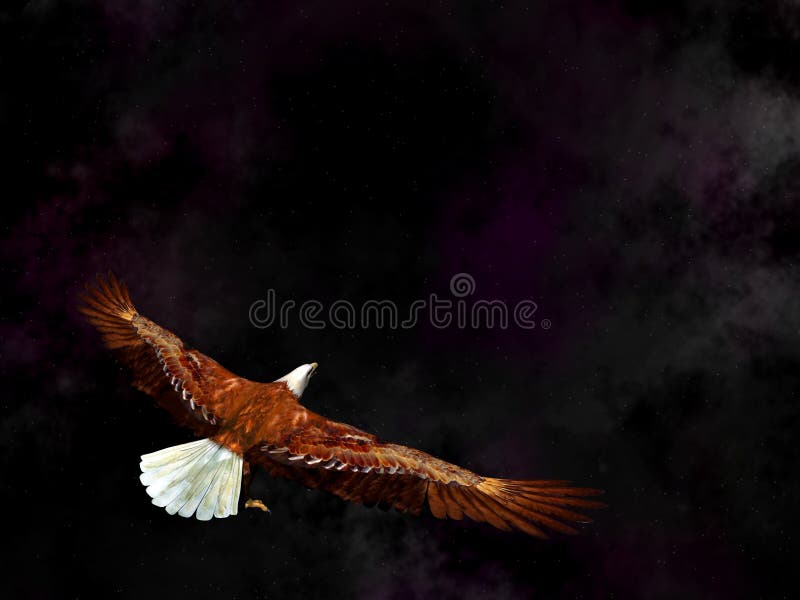 Eagle flying in the universe - 3D render stock illustration