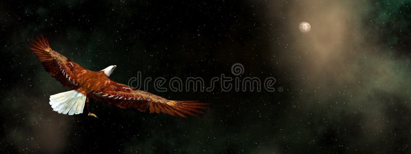 Eagle flying in the universe - 3D render stock illustration