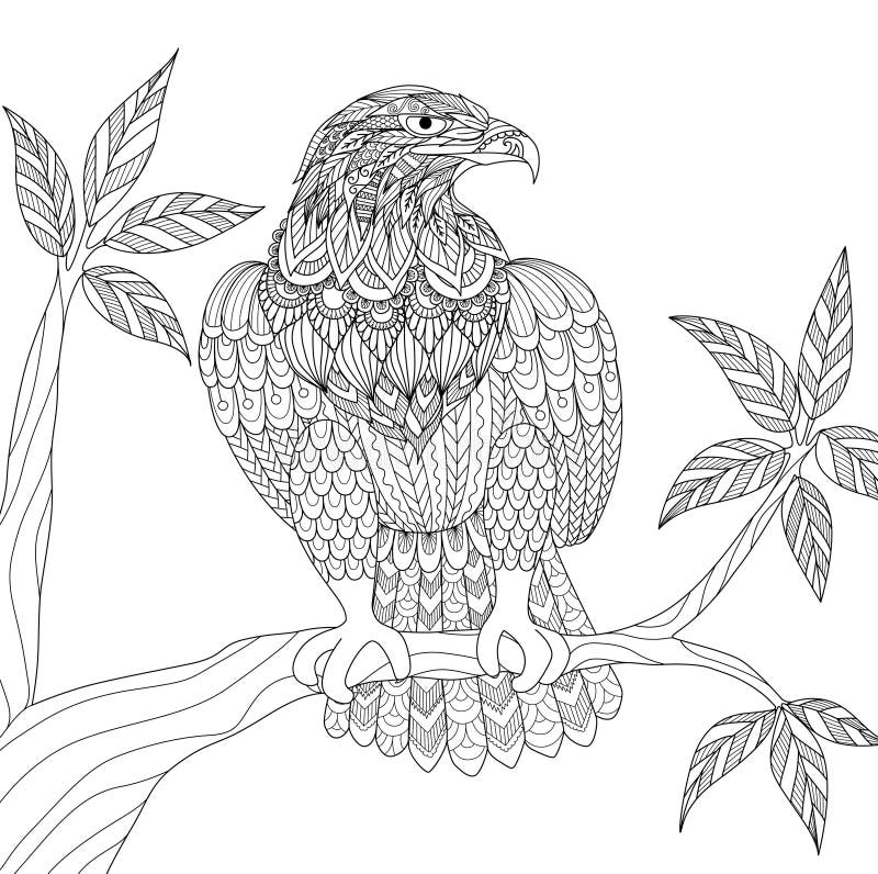 Eagle vector illustration Eagle vector illustration