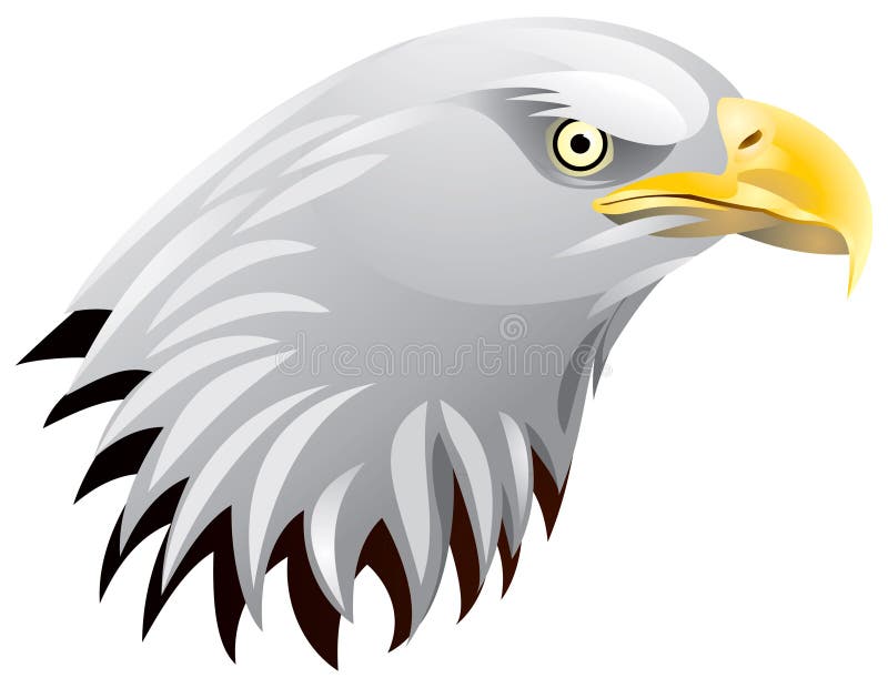 Eagle Head Images – Browse 182,923 Stock Photos, Vectors, and