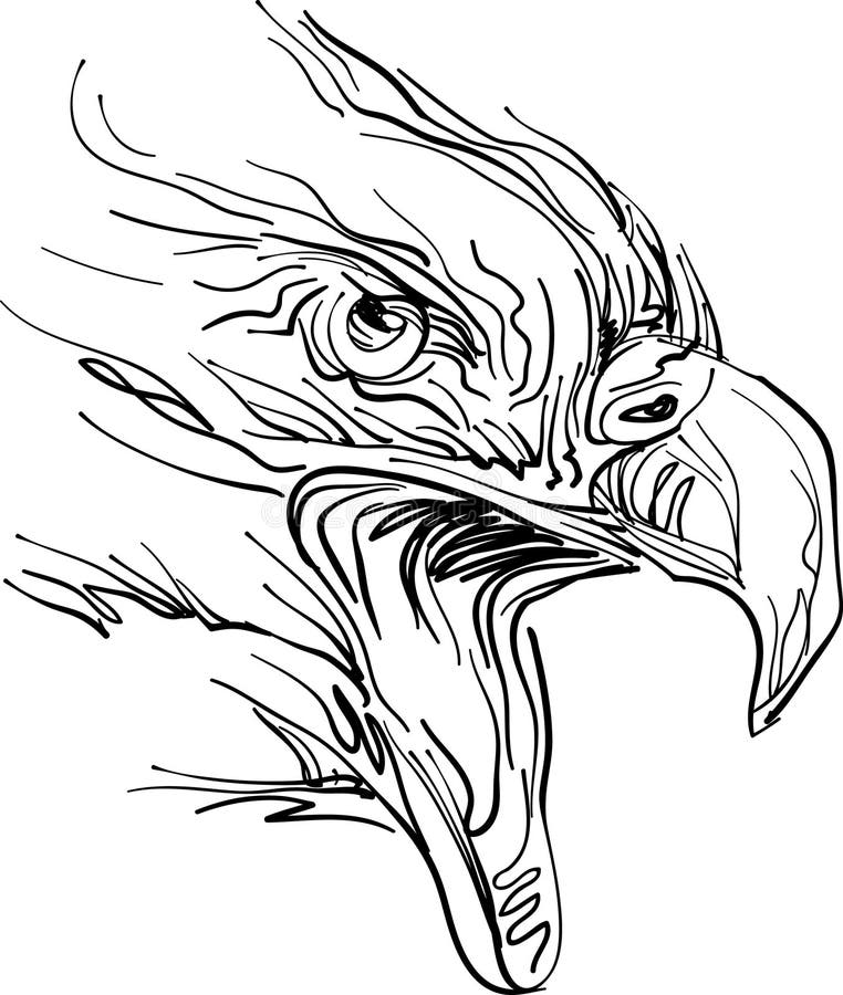 Eagle Line Art Stock Illustrations 8,259 Eagle Line Art Stock