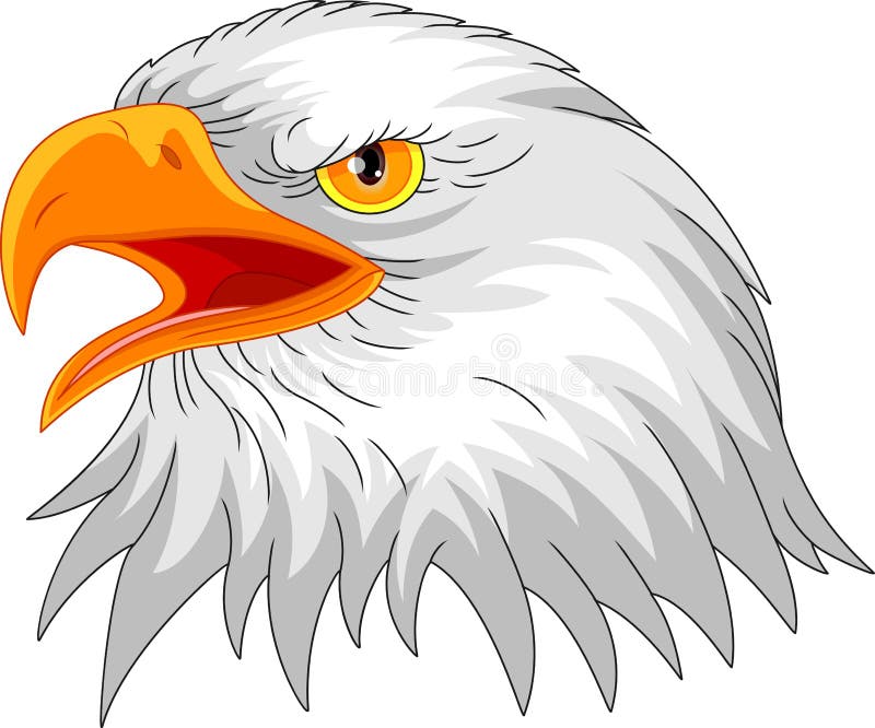 Eagle huvudmaskot vektor illustrationer Eagle huvudmaskot vektor illustrationer