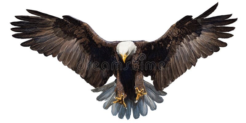 Eagle lądowania ręki remis na białym tło wektorze